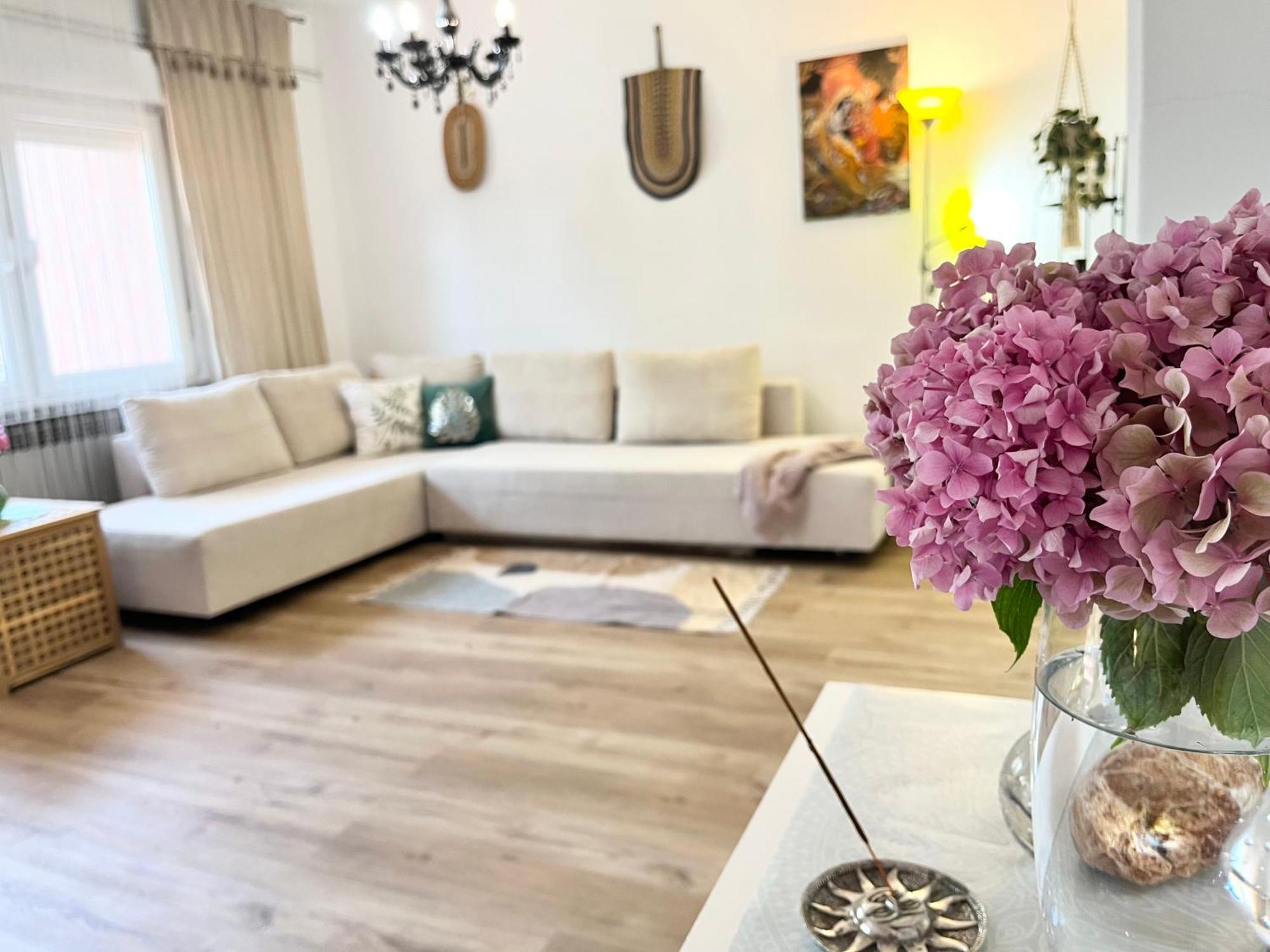 Veronika'S House Πούλα Εξωτερικό φωτογραφία
