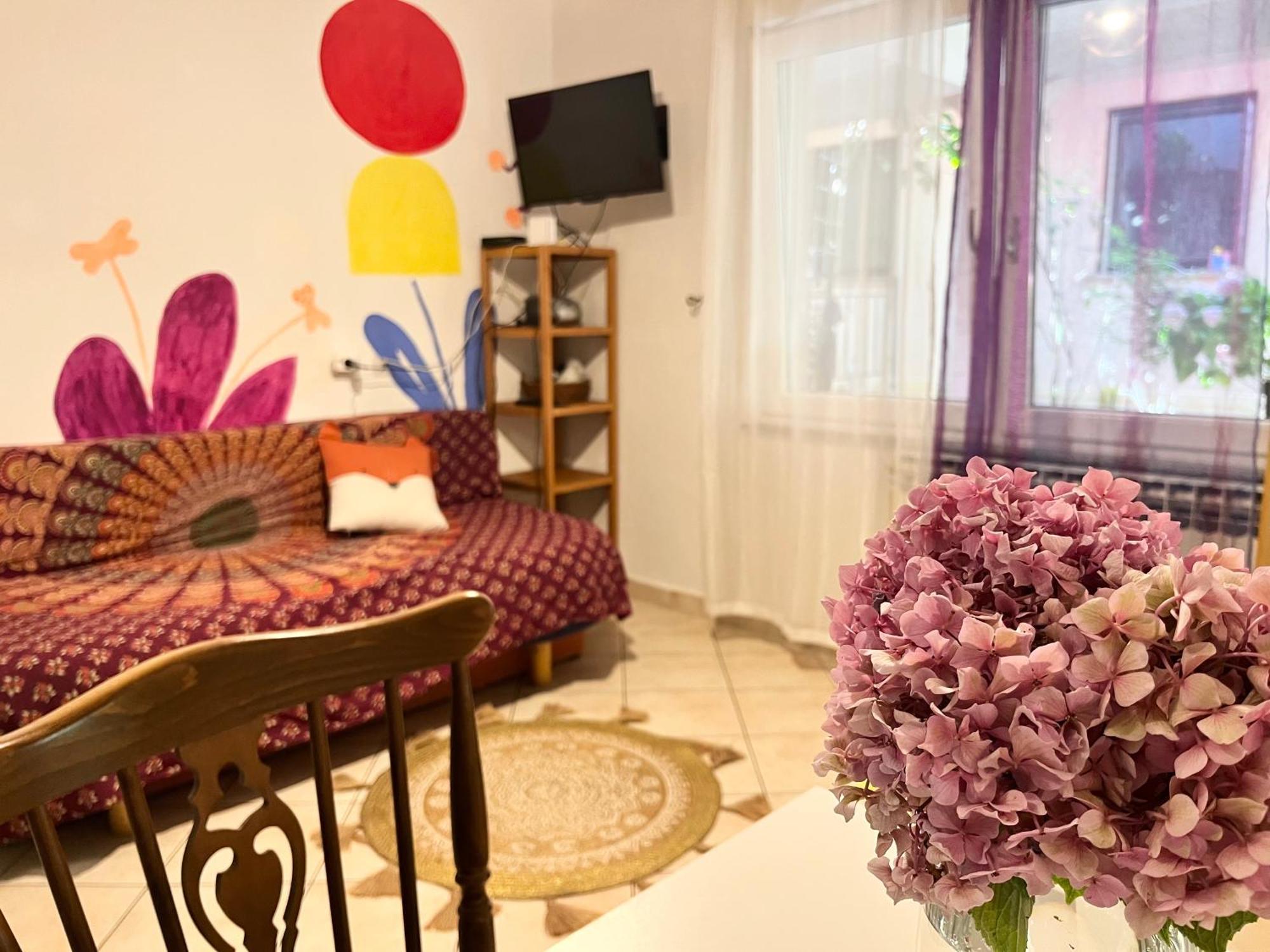 Veronika'S House Πούλα Εξωτερικό φωτογραφία