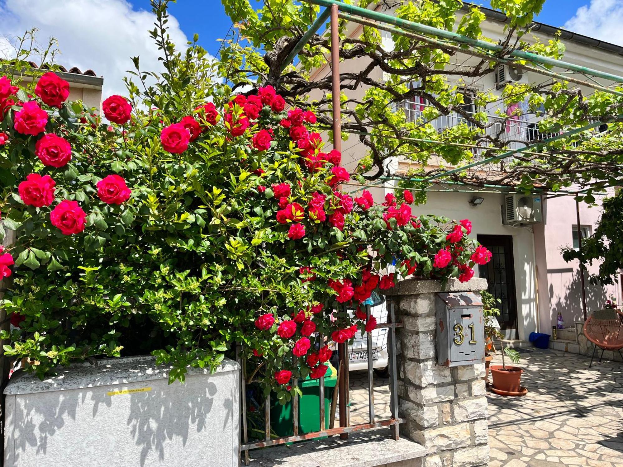 Veronika'S House Πούλα Εξωτερικό φωτογραφία
